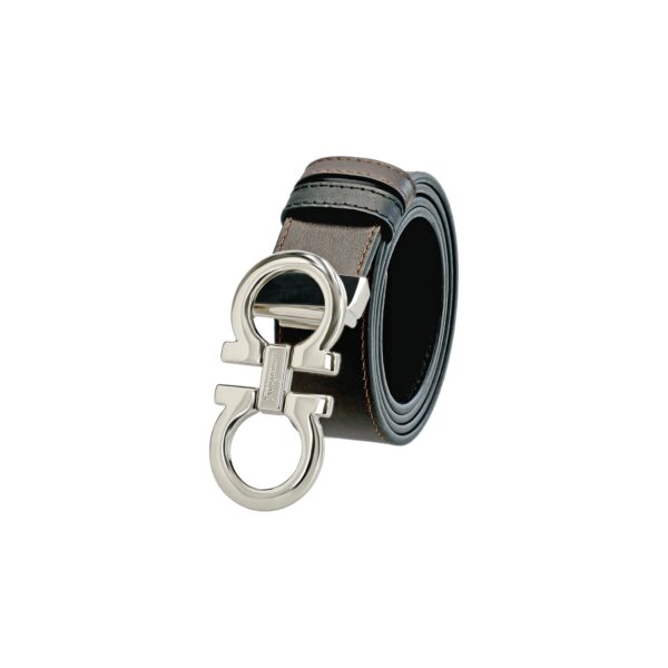 Reversible And Adjustable Belt