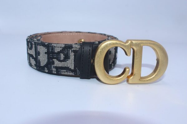 Saddle Belt CD Buckle - Image 3